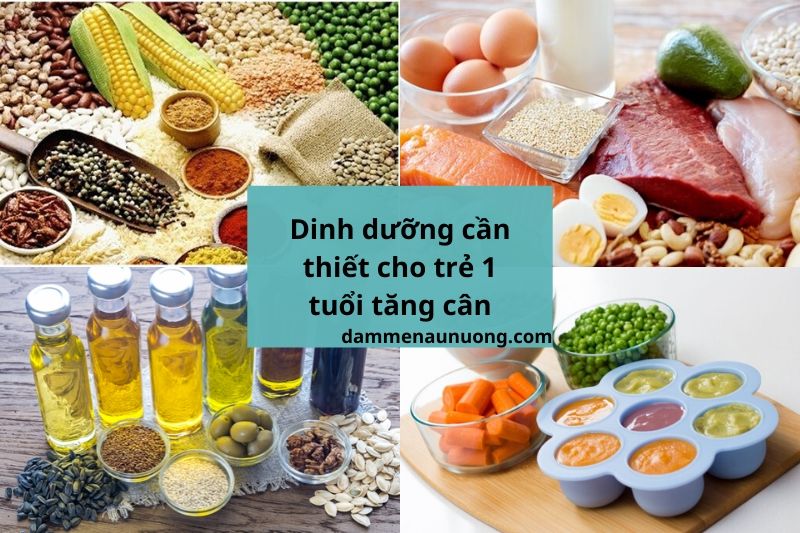 4 nhóm chất dinh dưỡng cần thiết cho trẻ 1 tuổi