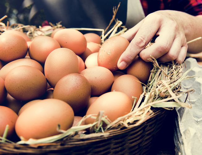 Trứng gà ấp dở có tốt không? Trứng gà ấp dở có tác dụng gì?